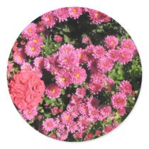 flowers stickers