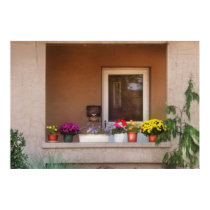 Flowers - Thinking of Spring posters