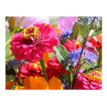 Flowers- Thinking of You Postcard