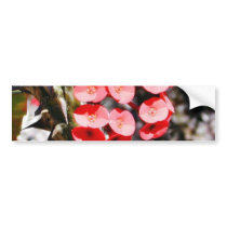 Flowers Throns Plants bumper stickers by lifesphere Flowers Throns Plants bumper stickers