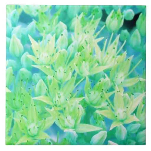 flowers ceramic tiles