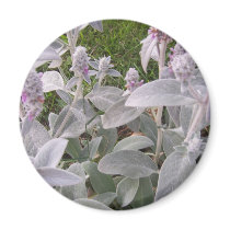 flowers to go magnets