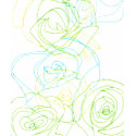 flowers t-shirts
