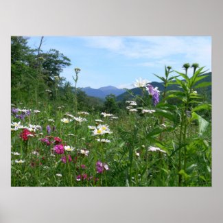 Flowers View Poster print