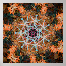 Flowers with tropical colors Nov 2012 Print