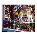 Flowershop Window posters