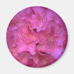 Flowery Arrow Refrigerator Magnets