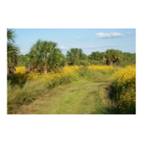 Flowery Path posters