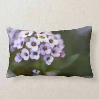 Flowery Pillow