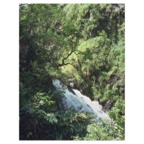 Flowing Among The Trees Custom Flyer