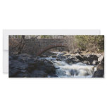 Flowing Below Rack Cards