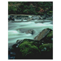 Flowing Colors Flyers