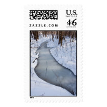 flowing frozen postage stamp
