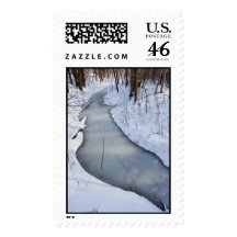 flowing frozen postage stamp