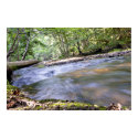 Flowing River posters by zacharylong Flowing River posters