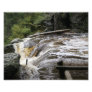 Flowing Waters 10x8 Photographic Print