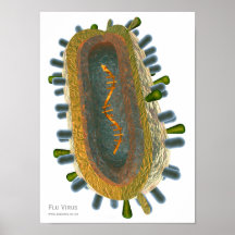 Virus Poster