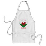 Fludd aprons