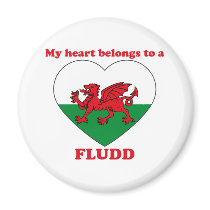 Fludd magnets