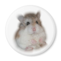 Fluff-ball - Tic Magnet by roborovskihamsters Fluff-ball - Tic Magnet