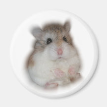 Fluff-ball - Tic Magnet