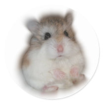 Fluff-ball - Tic Sticker