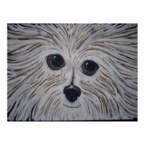 Fluff,Print by PaulaEmbry Fluff,Print