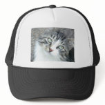 Fluff the Super Cat hats