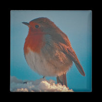 Fluffed up robin magnets
