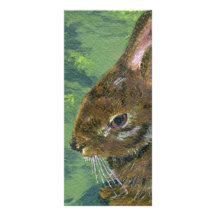 Fluffy Bunny Personalized Rack Card