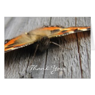Fluffy Butterfly Macro Greeting Card