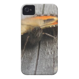 Fluffy Butterfly Macro iPhone 4 Case-Mate Cases