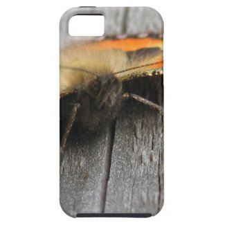 Fluffy Butterfly Macro iPhone 5 Case