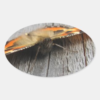 Fluffy Butterfly Macro Oval Sticker