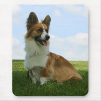 Fluffy Cardigan Welsh Corgi mousepads by pembrokewcorgi Fluffy Cardigan Welsh Corgi mousepads