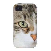 Fluffy Cat Close up iPhone 4 Cases
