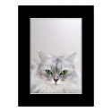 Fluffy Cat Poster posters by casi_reisi Fluffy Cat Poster posters