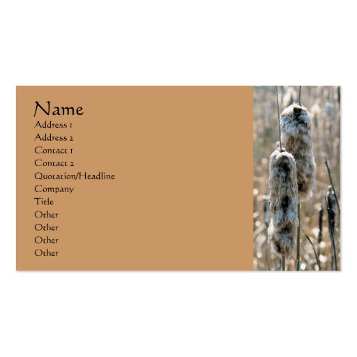 Fluffy Cattails Nature Photography Business Card