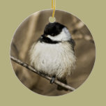 Fluffy chickadee - ornament ornaments