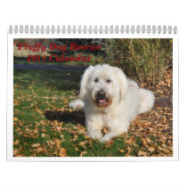 Fluffy Dog Rescue Wall Calendars