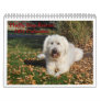Fluffy Dog Rescue Wall Calendars
