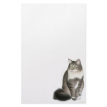 Fluffy Duffy Cat Stationery