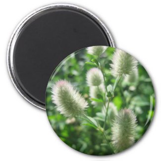 Fluffy Green Magnets