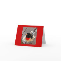 Fluffy Grosbeak Cards