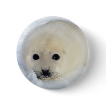Fluffy Harp Seal Pup buttons by alternateworlds Fluffy Harp Seal Pup buttons