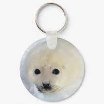 Fluffy Harp Seal Pup keychains by alternateworlds Fluffy Harp Seal Pup keychains
