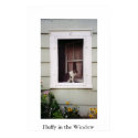 Fluffy in the Window posters by bhatton Fluffy in the Window posters