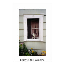 Fluffy in the Window posters