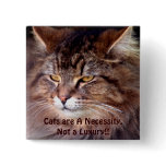 Fluffy Maine Coon TABBY CAT Buttons & Pins