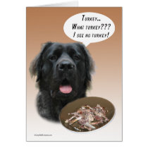 Fluffy Mastiff Turkey Card cards